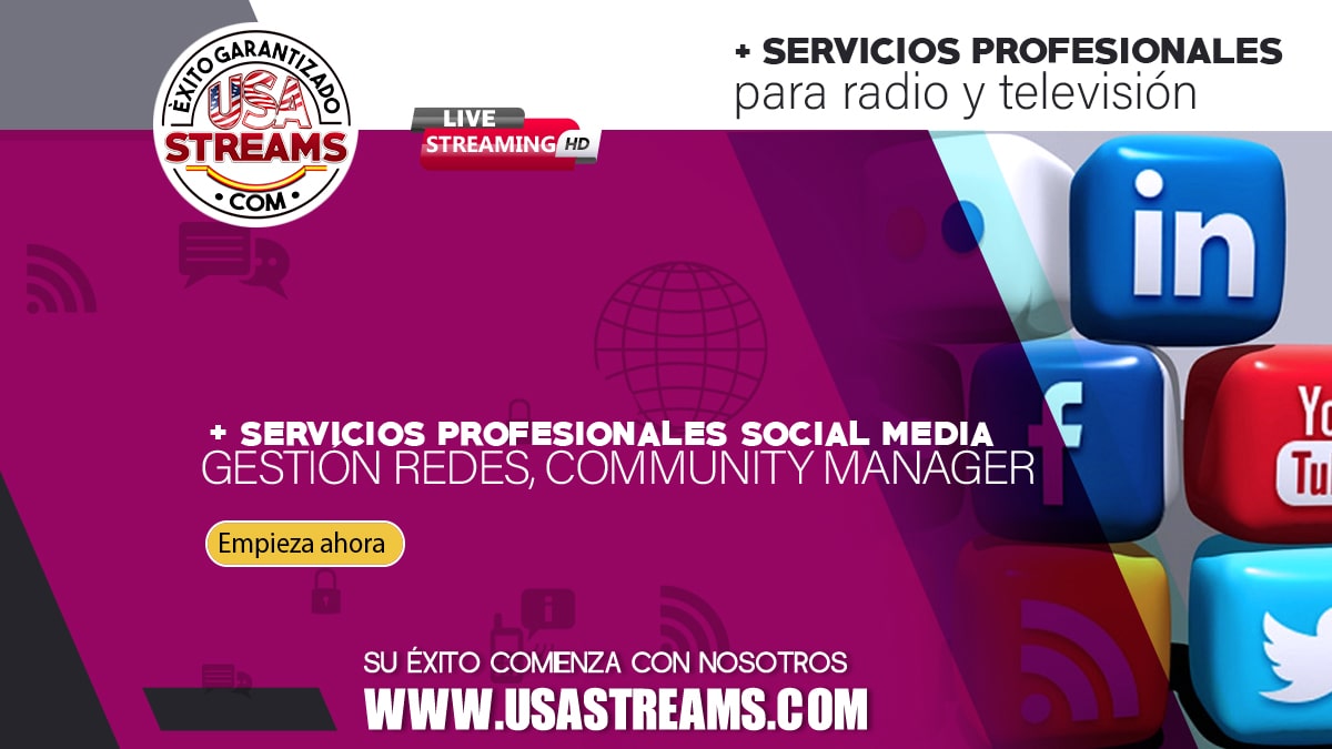 Servicios de gestión de redes sociales, Community Manager profesional